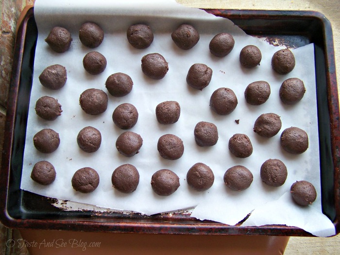 chocolate mint cake balls 039