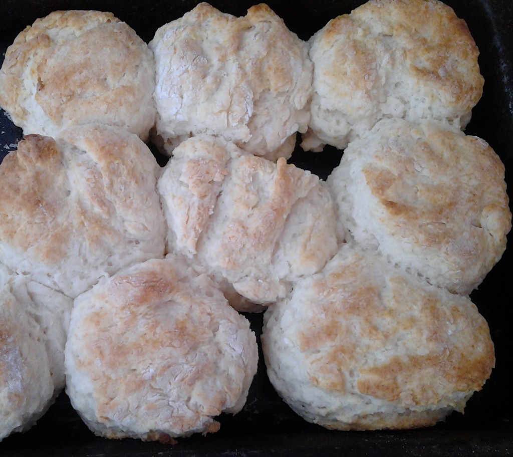 Biscuits hot out of the oven