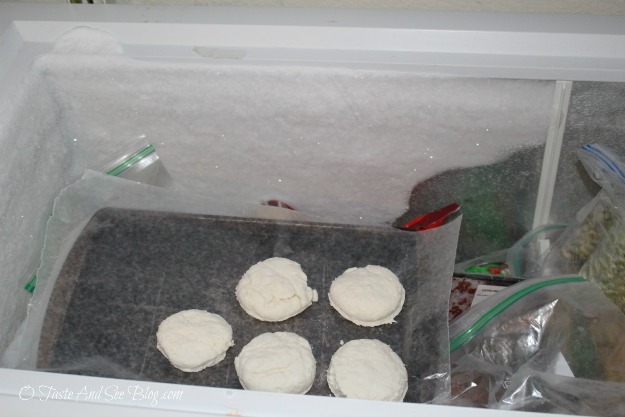 frozen biscuits 006
