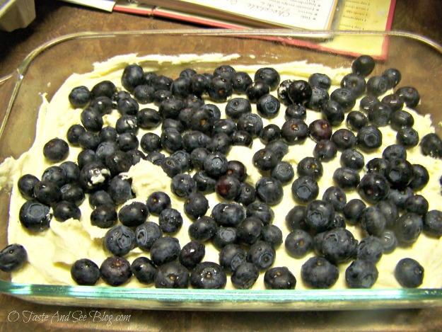 blueberry Buckle 086