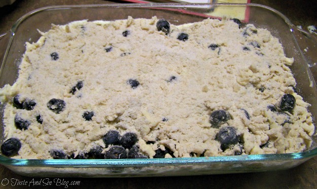 blueberry Buckle 088
