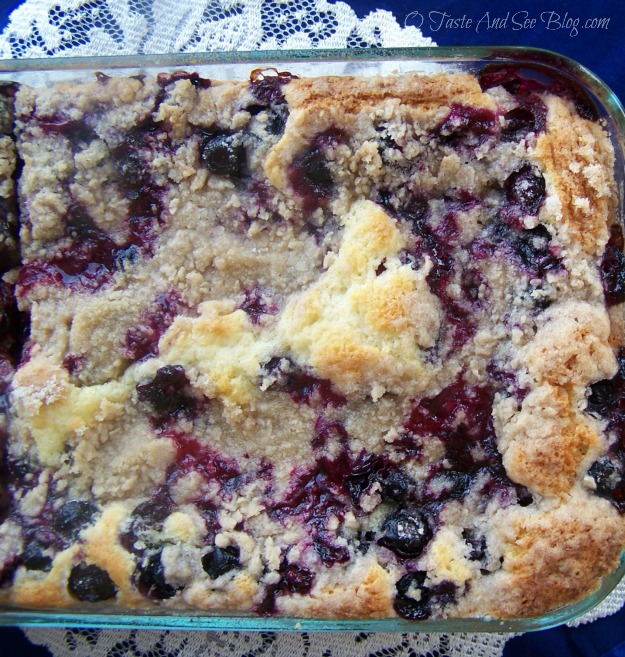 blueberry Buckle 091a