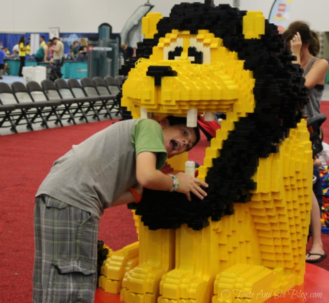 lego kidsfest #sp 012