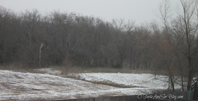 texas snow day 