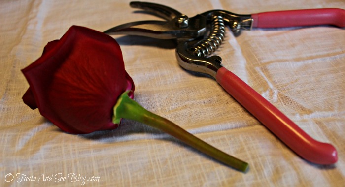 Single Rose Boutonniere #ad 