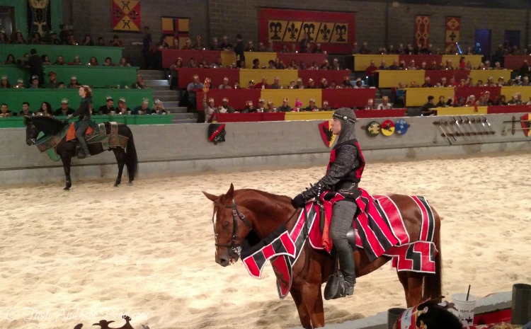 Medieval Times Dallas #ad #mtfan