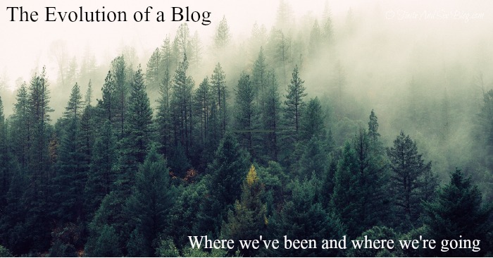 evolution of a blog