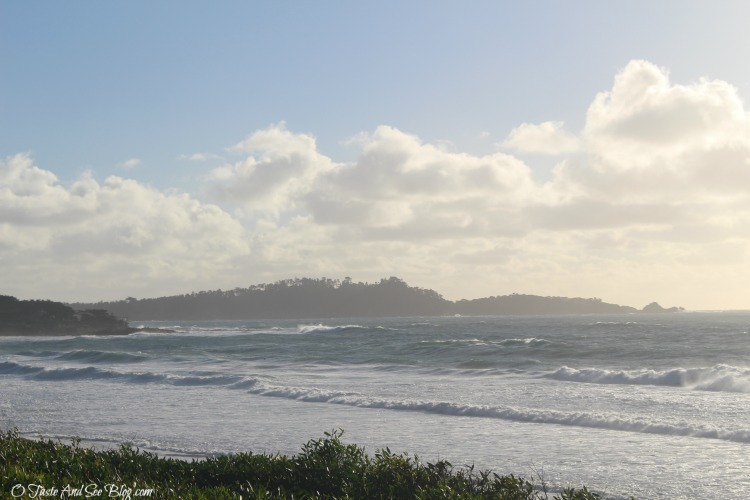 carmel beach surf